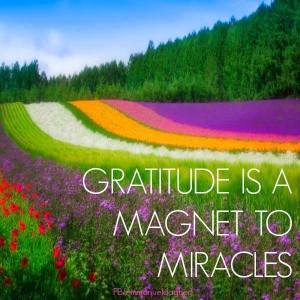 gratitude  magnet