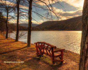 beatufiul fall river bench