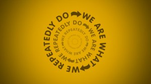 we are what we repeatedly do