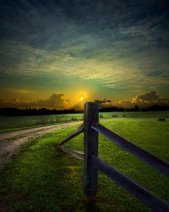horizons fence post curved road