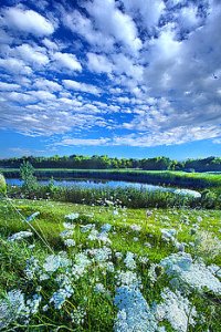 horizons lazy-days-phil-koch