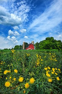 horizons phil koch