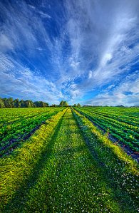 horizons some-days-the-way-i