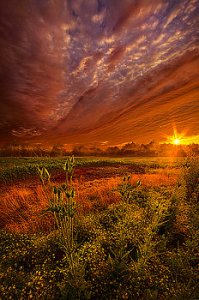 horizons the-never-ending-story-phil-koch