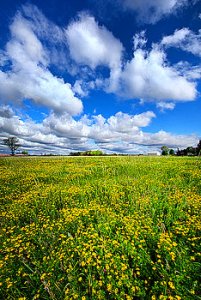 horizons a-bright-bright-sunshiny-day-phil-koch