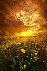 horizons and-in-a-whispered-moment-she-was-gone-phil-koch