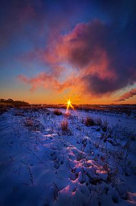 horizons in-memory-of-phil-koch