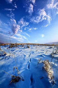horizons nobodys-home-phil-koch