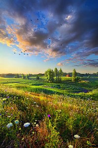 horizons taking-a-time-out-phil-koch