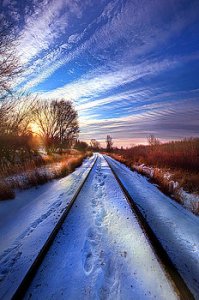 horizons the-polar-bear-express-phil-koch