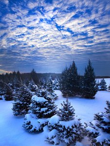 Horizons bluetiful-phil-koch