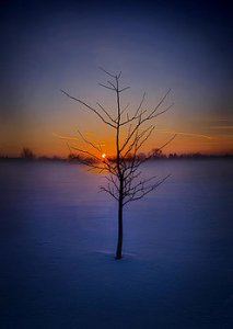 Horizons dont-give-up-on-me-phil-koch