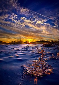horizons no-regrets-phil-koch