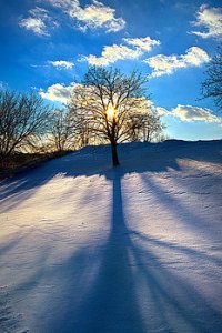 horizons winter-phil-koch