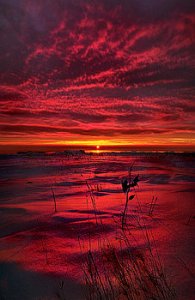 horizons a-breathless-kiss-phil-koch