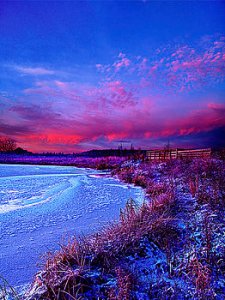 horizons bridged-phil-koch