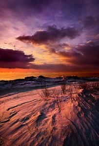 horizons if-you-see-through-my-eyes-phil-koch