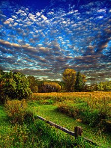 horizons meadow-light-phil-koch