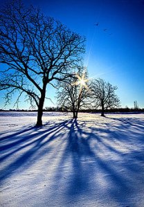 horizons threes-in-a-breeze-phil-koch