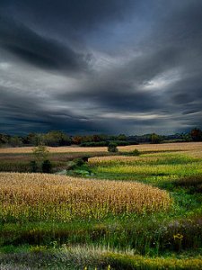 horizon distant-meadow-phil-koch