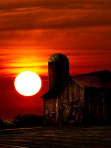 horizons early-to-rise-phil-koch