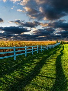 Horizons fensed-in-sunrise-phil-koch