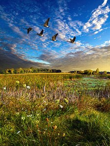 horizons flight-phil-koch