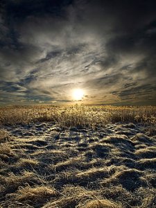 horizons instance-phil-koch