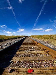 horizon mimic-phil-koch