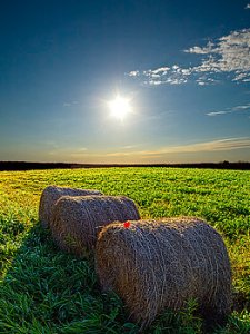 Horizons bails-phil-koch
