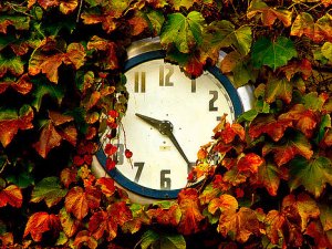 horizons fall-back-phil-koch