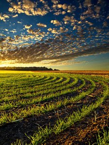 horizons rings-phil-koch