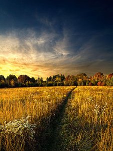 Horizons -the-path-phil-koch