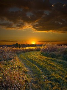 horizons the-road-home-phil-koch