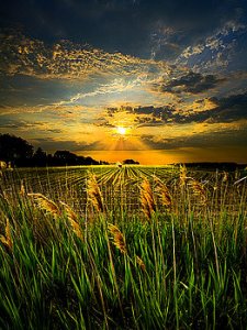 horizons glory-phil-koch