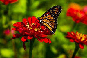 Horizons resting-place-phil-koch