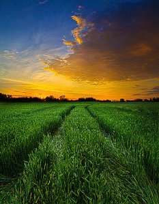 horizons roads-home-phil-koch