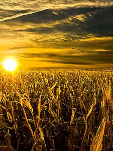 horizons southbound-phil-koch