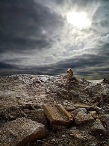 Horizons the-mount-phil-koch