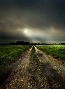 Horizons a-road-of-poems-phil-koch