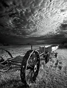 Horizons homesoil-landing-phil-koch