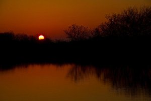 Horizons serene-phil-koch