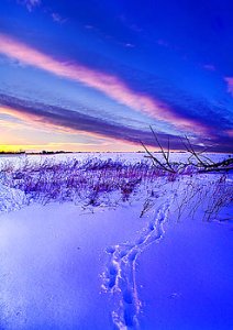 Horizon frozen-tracks-phil-koch