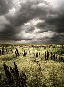 Horizons 1-summer-storms-phil-koch