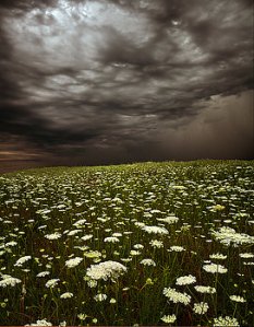 Horizons 2-summer-storms-phil-koch