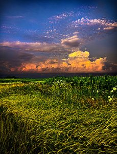 horizons cumulus-nimbus-phil-koch