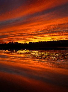 horizons lake-george-phil-koch