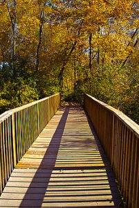 horizons-1-bridged-phil-koch