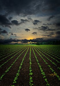 horizons-life-lines-phil-koch