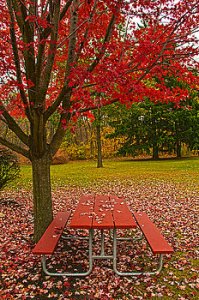 horizons-a-place-to-rest-phil-koch